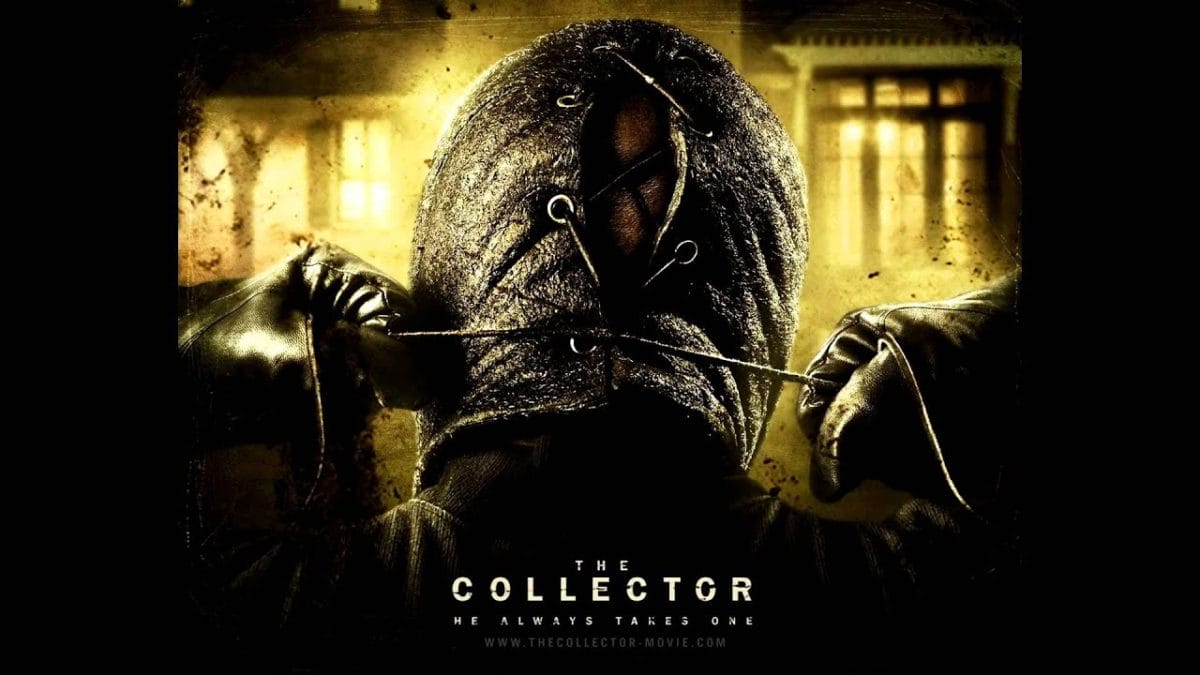 the collector 3